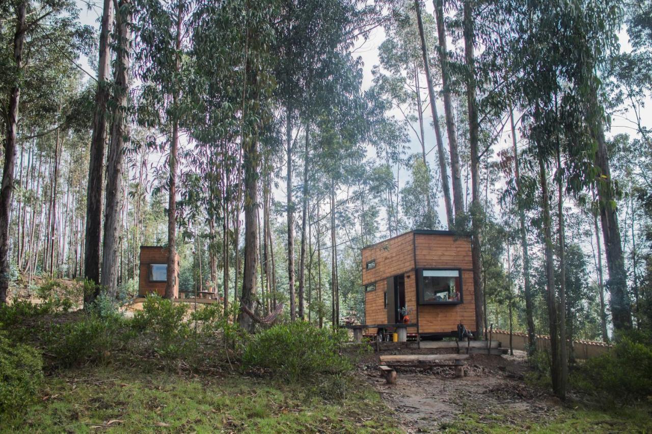 El Bosque De Paipa Otel Dış mekan fotoğraf