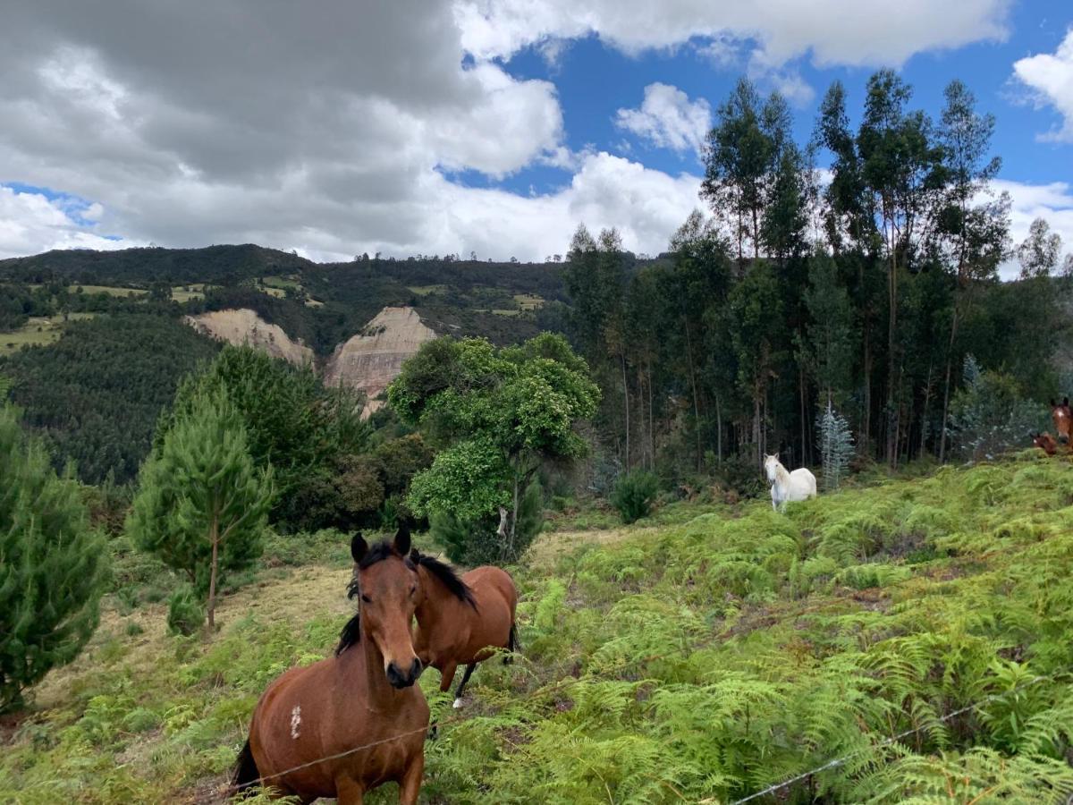 El Bosque De Paipa Otel Dış mekan fotoğraf